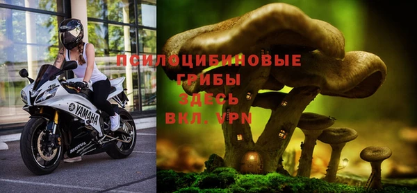 кокс Алексин