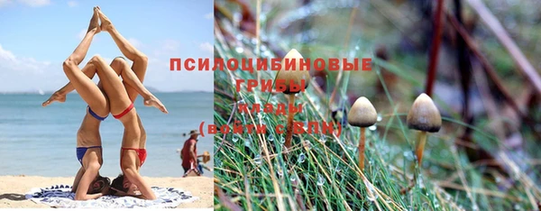 кокс Алексин