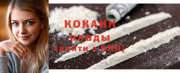 кокс Алексин