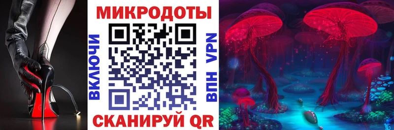 дарк нет какой сайт  Крым  Галлюциногенные грибы прущие грибы 